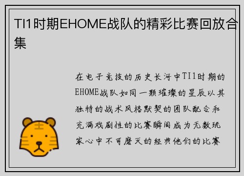 TI1时期EHOME战队的精彩比赛回放合集
